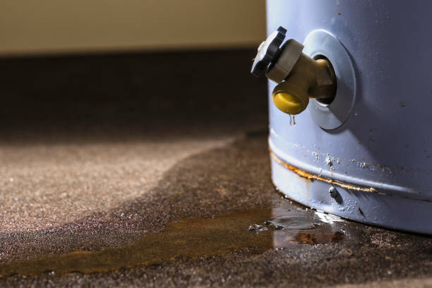 Best Commercial water damage restoration  in Shelburn, IN
