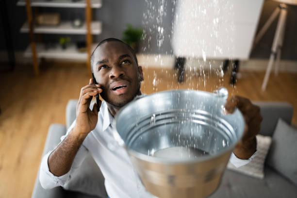 Best Water damage cleanup near me  in Shelburn, IN