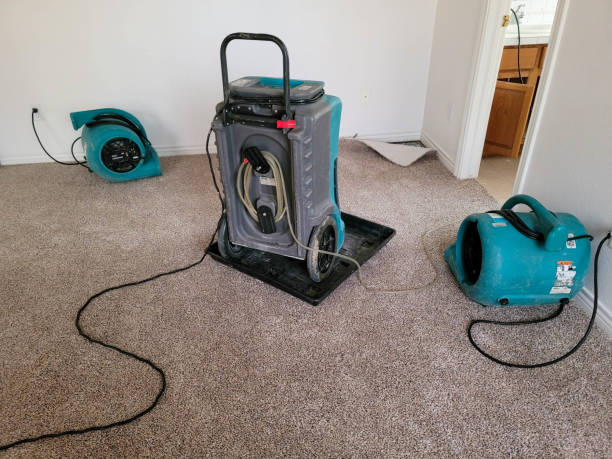 Best Ceiling water damage repair  in Shelburn, IN