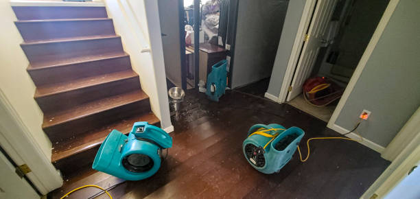 Best Ceiling water damage repair  in Shelburn, IN