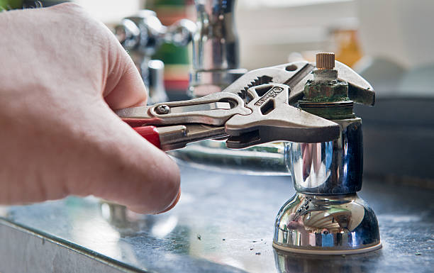 Best Professional water damage repair  in Shelburn, IN
