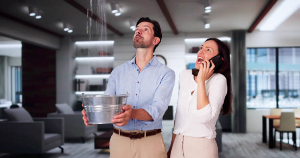  Shelburn, IN Water damage restoration Pros