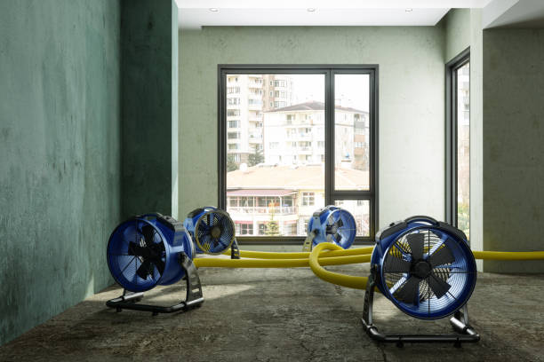 Best Emergency water damage restoration  in Shelburn, IN